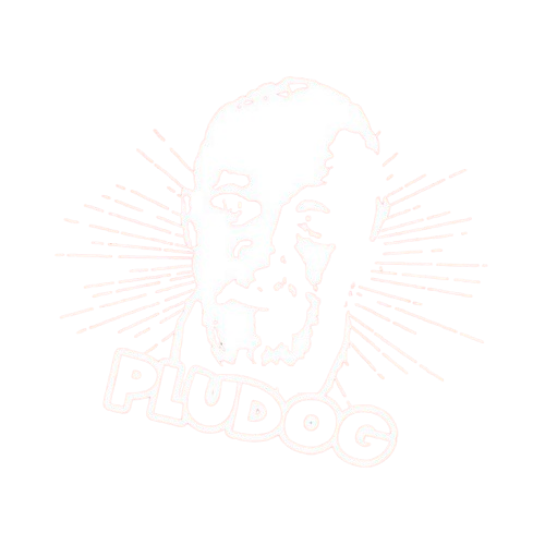 Pludog